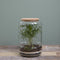 Mica Decorations Elements Terrarium - H28 x Ø19 cm - Glas