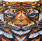 UNIDRAGON Houten Puzzel Voor Volwassenen Dier - Mooie Tijger - 181 stukjes - Medium 25x32 cm