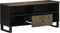 vidaXL - Tv-meubel - 100x33x46 - cm - massief - mangohout - zwart