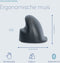 R-Go Tools HE Basic - Verticale Muis - Draadloos (Bluetooth 5.0) - 1.600dpi (3x)