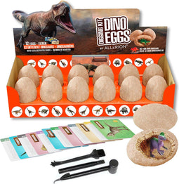 Allerion Dino Graaf Kit - Speelset met 12 Dino Eieren - Inclusief Borstels en Informatiekaartjes (12 stuks)