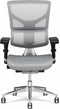 X-Chair bureaustoel X2 Zwart