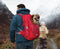 Kurgo G-Train K9 - Hondenrugzak voor Kleine Honden tot 11 kg - Waterbestendig - Rood - 33x53x25 cm