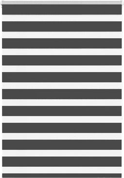 vidaXL - Zebra - rolgordijn - 105x150 - cm - stofbreedte - 100,9 - cm - zwart
