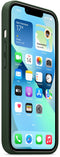 Apple MM173ZM/A - Smartphonehoesje - Leren met MagSafe - Groen