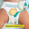 Pampers Pants Boy/Girl 6 84 pc(s)