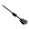 V7 V7E2DVI - DVI-D Kabel - 3 m - Zwart