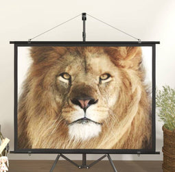 vidaXL - Projectiescherm - 4:3 - 60''