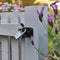 Yale Y120DB/60/135/2 - Hoge Veiligheid Hangsloten - Dubbele vergrendeling - Messing & Chroom (2 stuks)