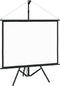 vidaXL - Projectiescherm - met - statief - 16:9 - 84''