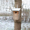 Esschert Design Observatie - Vogelhuisje