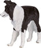Mojo Farmland Border Collie - 387203