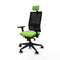 Bureaustoel Piqueras y Crespo 3D066N2 Pistache