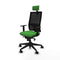 Bureaustoel Piqueras y Crespo 1D066N2 Groen