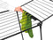 Brabantia HangOn Too Droogrek - 22 m - Inklapbaar - Extra Hoog - Matt Black