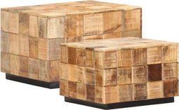 vidaXL - Salontafels - 2 - st - blokontwerp - ruw - mangohout