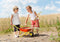 Rolly Toys Metalen Kruiwagen - Rood