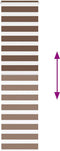 vidaXL - Zebra - rolgordijn - 60x230 - cm - stofbreedte - 55,9 - cm - polyester - bruin