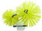 Dario Tools CMB207200 Schoorsteen Veegborstel 20cm