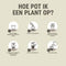 Pokon Kamerplanten Potgrond - 20l - Potgrond (kamerplant) - 6 maanden voeding