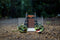 Jurassic Park Nano Scene 30th Anniversary