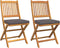 vidaXL - Opvouwbare - Tuinstoelen - met - Grijze - Kussen - 2 - stuks - Massief - Acaciahout