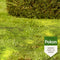 Pokon Mos Weg! - Mosbestrijdingsmiddel met gazonmest - 150 m2 - 5250 gr
