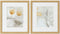 Schilderij DKD Home Decor Drawed Leaf 33 x 3 x 38 cm Traditioneel Blad van een plant (2 Stuks)