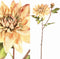 PTMD Dahlia Kunstbloem - 25 x 30 x 75 cm - Kunststof - Roze