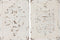Wanddecoratie Home ESPRIT Wit Neoklassiek Decapé 58 x 4,5 x 78 cm (2 Stuks)