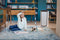 Rowenta Intense Pure Air Connect - Luchtreiniger - 4 filteringsniveaus - Wit