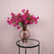 PTMD Garden Flower fuchsia bougainvillea tak