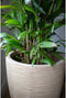 Capi Europe - Vaas Waste Rib NL - Breukbestendig - Terrazzo beige - Ø38 cm - 46x58 cm - 66 l