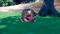 Nintendo - Pokémon Violet - Nintendo Switch - Open wereld RPG (2022)