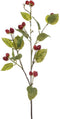 Raspberry spray red 90 cm Emerald