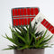 LAUED Nagelstickers - Nail Wraps - 16 Extreem Dunne Nagellak Stickers - Manicure Nail Art Folie - Secret Love