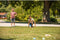 Summertime Jeu de Boules Set - incl 8 Ballen