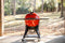 Kamado Joe - Kettle Joe barbecue