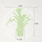 Kamerplant - Guzmania Deseo White single