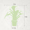 Kamerplant - Guzmania Fiero Orange double
