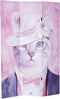 Kamerscherm DKD Home Decor Kat Canvas 120 x 2,5 x 180 cm Pijnboom