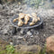 Kampvuur Rooster - Gietijzer
