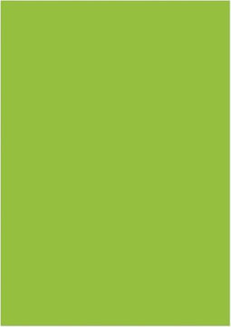 Kangaro papier - A4 - 120 gram FSC - pak 100 vel - groen - K-0043F275