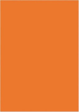 Kangaro papier - A4 - 120 grams FSC - pak 100 vel - oranje - K-0043F055