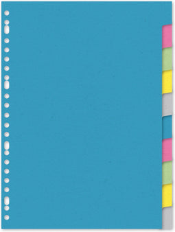 Kangaro tabbladen - A4 - gerecycled karton - 220 grams - 23-gaats - 10-delig blanco - RY410M