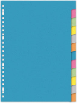 Kangaro tabbladen - A4 - gerecycled karton - 220 grams - 23-gaats - 12-delig - RY412M