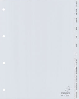 Kangaro tabbladen - A4 - PP 120 micron - grijs - 4-gaats - 12-delig maand - G412J