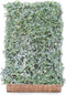 Kant & klaar haag Hedera helix Glacier 180 cm