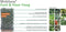 Kant & klaar haag Hedera Helix Woerner 100 cm