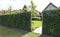 Kant & klaar haag Hedera Helix Woerner 100 cm